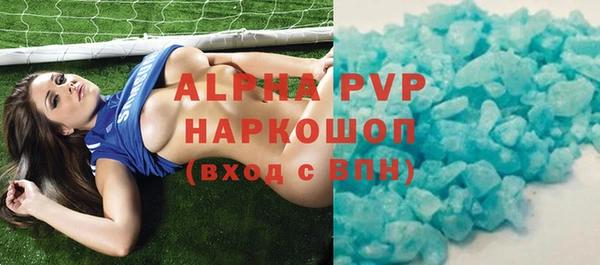 индика Алексин