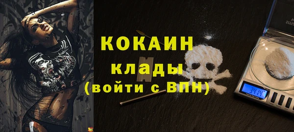 индика Алексин