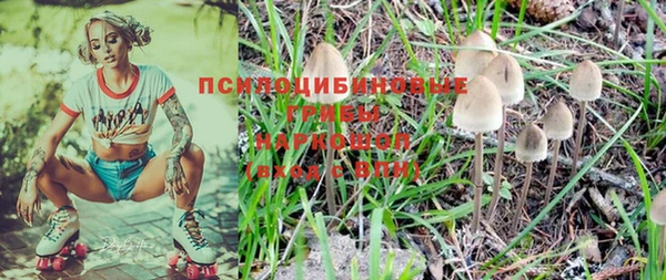 индика Алексин